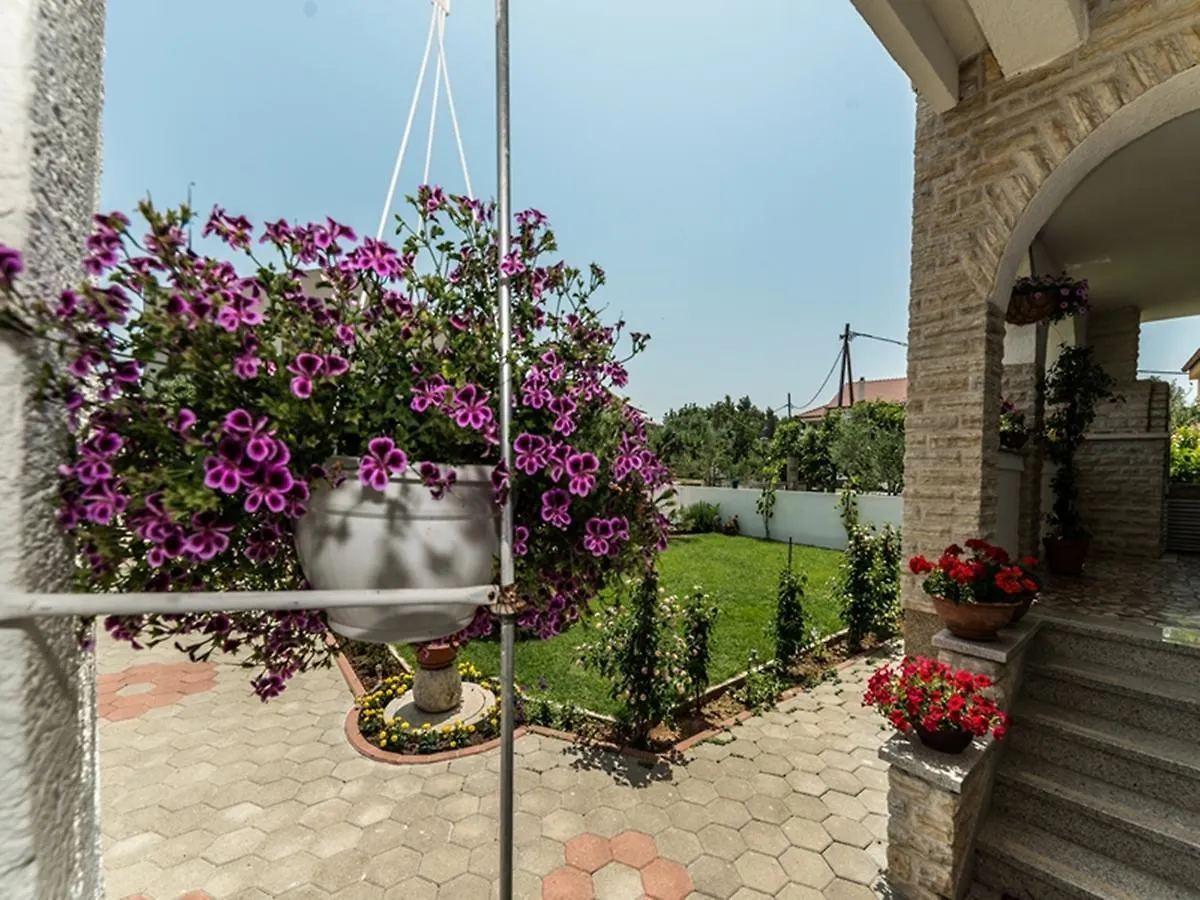 Apartments Dalmatia (Adults Only) Privlaka  0*, Privlaka (Zadar) Chorvatsko